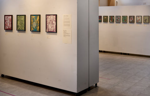 Spring's First Light